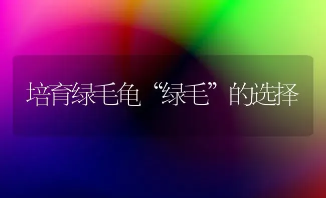 培育绿毛龟“绿毛”的选择 | 养殖技术大全