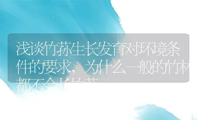 浅谈竹荪生长发育对环境条件的要求,为什么一般的竹林都不会长竹荪 | 养殖学堂