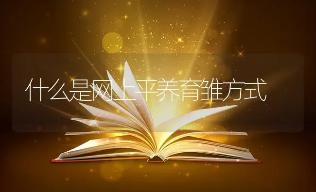 什么是网上平养育雏方式 | 养殖知识