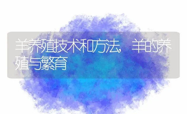 羊养殖技术和方法,羊的养殖与繁育 | 养殖学堂