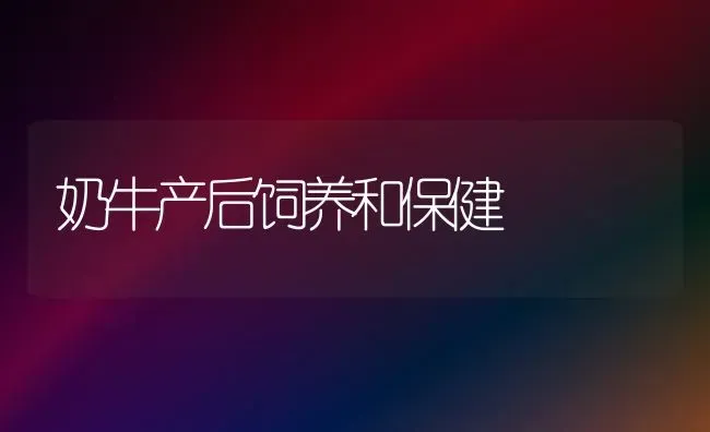 奶牛产后饲养和保健 | 养殖技术大全