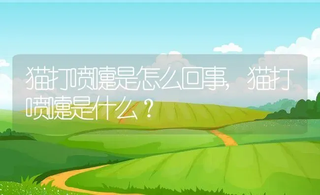 猫打喷嚏是怎么回事,猫打喷嚏是什么？ | 养殖学堂
