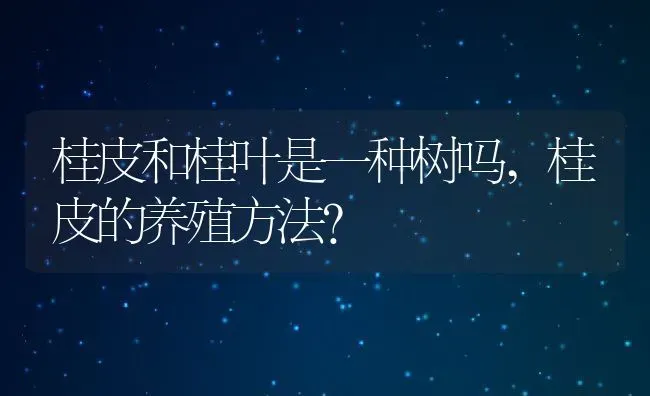 桂皮和桂叶是一种树吗,桂皮的养殖方法？ | 养殖科普