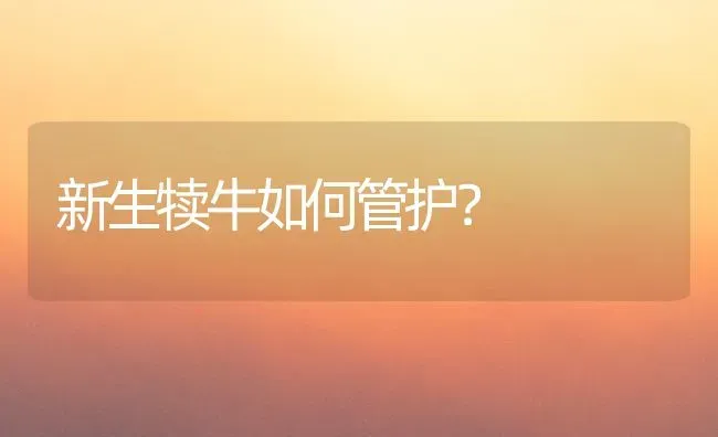 新生犊牛如何管护? | 养殖技术大全