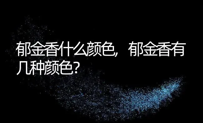 郁金香什么颜色,郁金香有几种颜色？ | 养殖科普