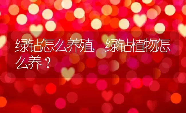 绿钻怎么养殖,绿钻植物怎么养？ | 养殖学堂