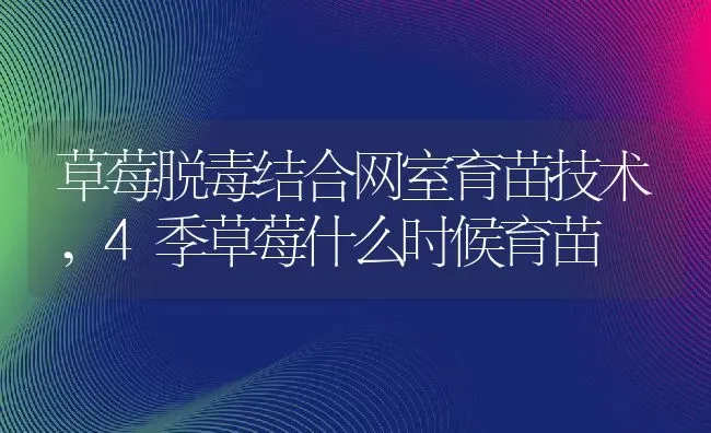 草莓脱毒结合网室育苗技术,4季草莓什么时候育苗 | 养殖学堂