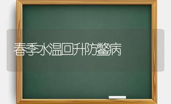 春季水温回升防鳖病 | 养殖知识