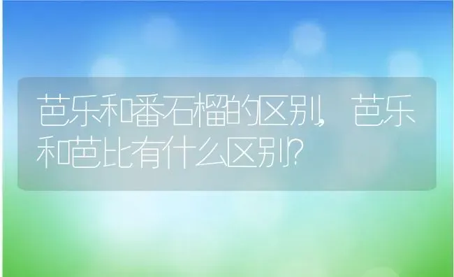 芭乐和番石榴的区别,芭乐和芭比有什么区别？ | 养殖科普