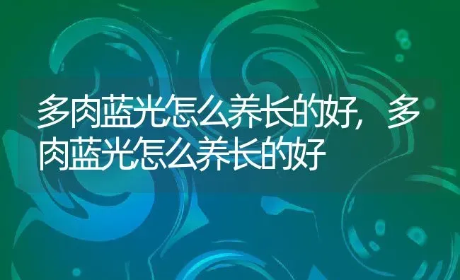 多肉蓝光怎么养长的好,多肉蓝光怎么养长的好 | 养殖科普