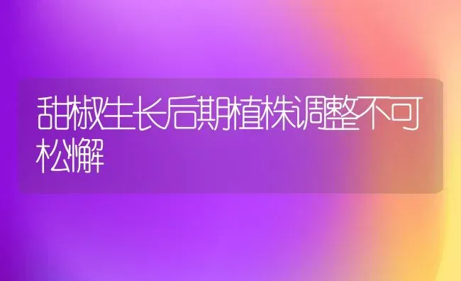 甜椒生长后期植株调整不可松懈 | 养殖知识