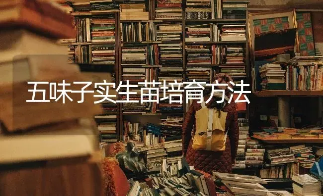 五味子实生苗培育方法 | 养殖技术大全