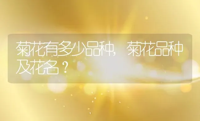 菊花有多少品种,菊花品种及花名？ | 养殖科普