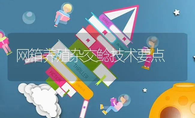 网箱养殖杂交鲶技术要点 | 养殖技术大全