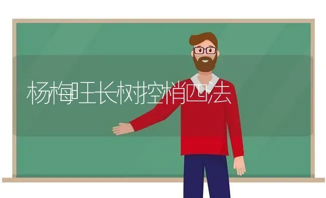 杨梅旺长树控梢四法 | 养殖技术大全