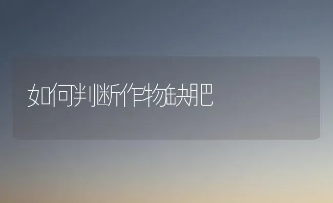 如何判断作物缺肥 | 养殖技术大全