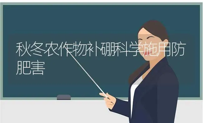 秋冬农作物补硼科学施用防肥害 | 养殖知识