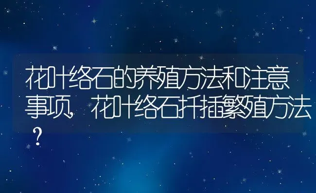 花叶络石的养殖方法和注意事项,花叶络石扦插繁殖方法？ | 养殖科普