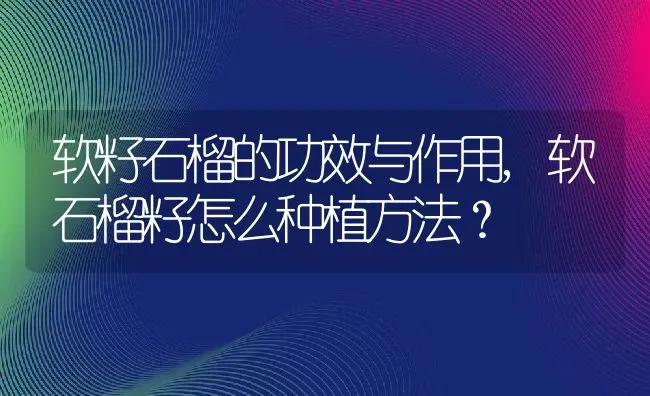 软籽石榴的功效与作用,软石榴籽怎么种植方法？ | 养殖科普