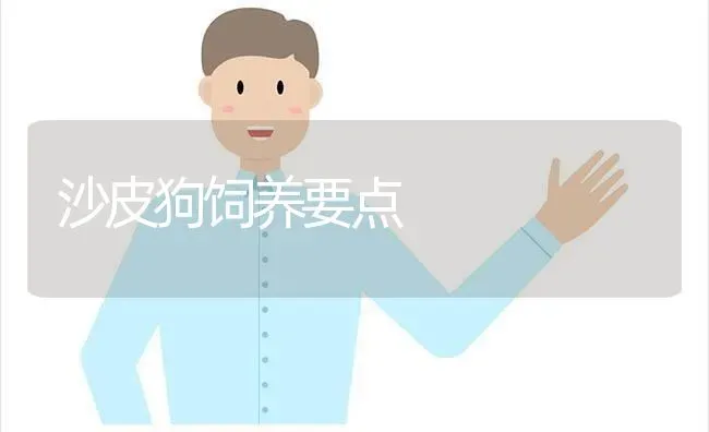 沙皮狗饲养要点 | 养殖技术大全