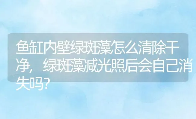 鱼缸内壁绿斑藻怎么清除干净,绿斑藻减光照后会自己消失吗？ | 养殖科普