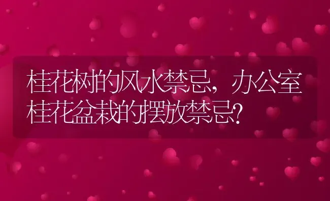 桂花树的风水禁忌,办公室桂花盆栽的摆放禁忌？ | 养殖科普