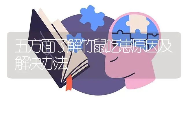 五方面了解竹鼠吃崽原因及解决办法 | 养殖技术大全