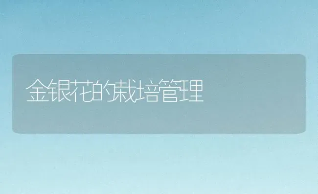 金银花的栽培管理 | 养殖技术大全