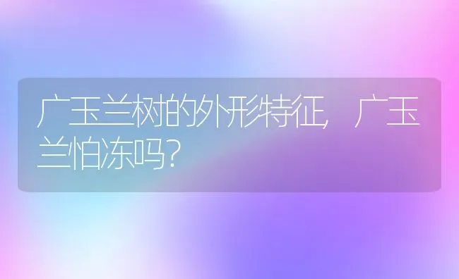 广玉兰树的外形特征,广玉兰怕冻吗？ | 养殖科普