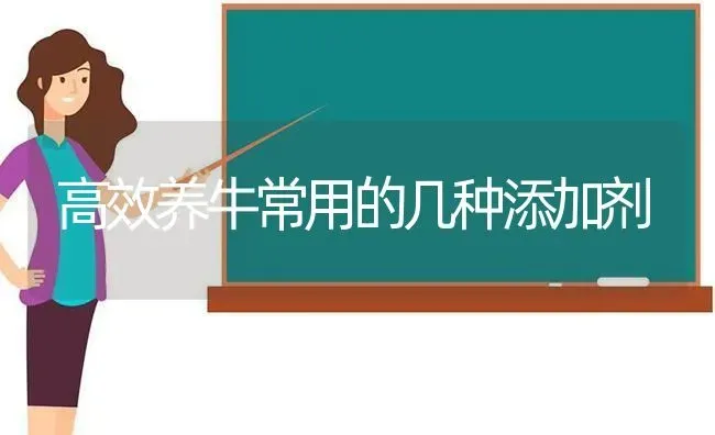高效养牛常用的几种添加剂 | 养殖知识