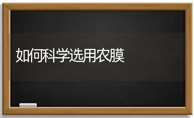 如何科学选用农膜 | 养殖知识