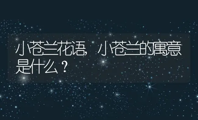 小苍兰花语,小苍兰的寓意是什么？ | 养殖学堂