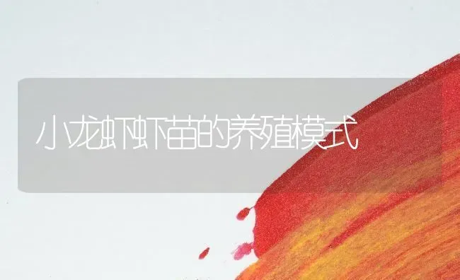 小龙虾虾苗的养殖模式 | 养殖技术大全