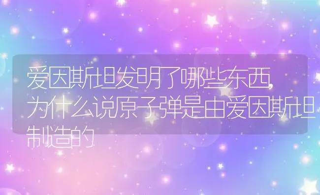 爱因斯坦发明了哪些东西,为什么说原子弹是由爱因斯坦制造的 | 养殖学堂