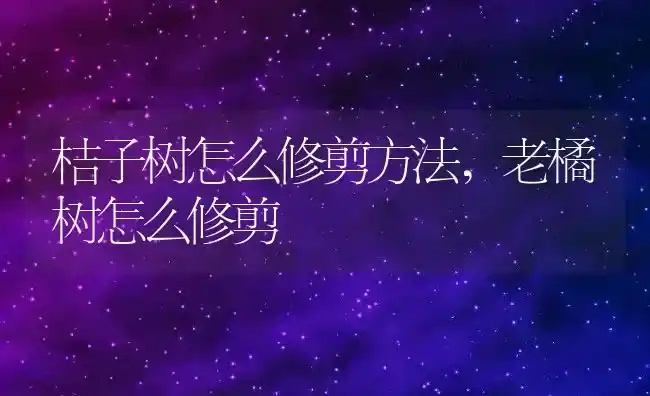 桔子树怎么修剪方法,老橘树怎么修剪 | 养殖科普