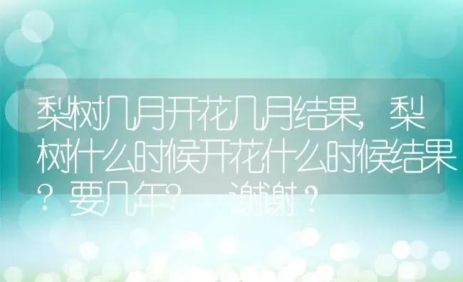 梨树几月开花几月结果,梨树什么时候开花什么时候结果?要几年? 谢谢？ | 养殖科普