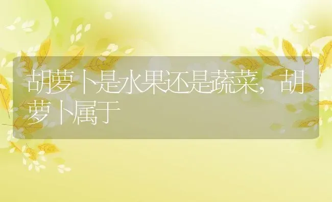 胡萝卜是水果还是蔬菜,胡萝卜属于 | 养殖学堂