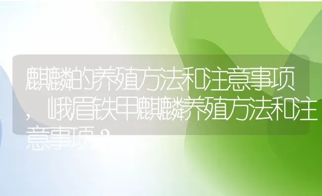 麒麟的养殖方法和注意事项,峨眉铁甲麒麟养殖方法和注意事项？ | 养殖科普