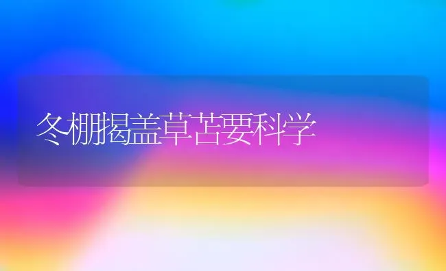 冬棚揭盖草苫要科学 | 养殖知识