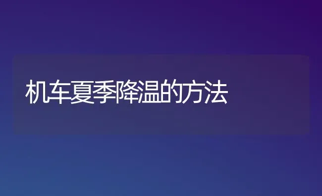 机车夏季降温的方法 | 养殖知识