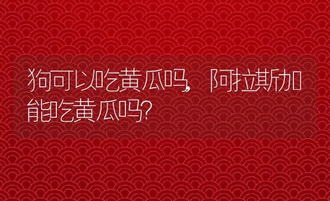 狗可以吃黄瓜吗,阿拉斯加能吃黄瓜吗？ | 养殖科普