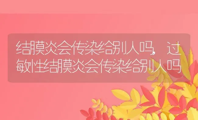 结膜炎会传染给别人吗,过敏性结膜炎会传染给别人吗 | 养殖资料