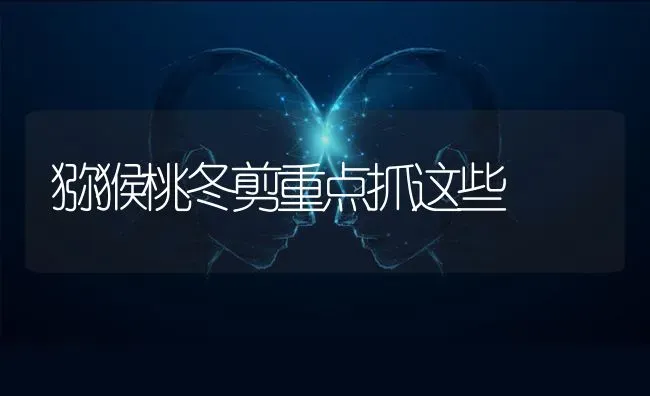 猕猴桃冬剪重点抓这些 | 养殖技术大全