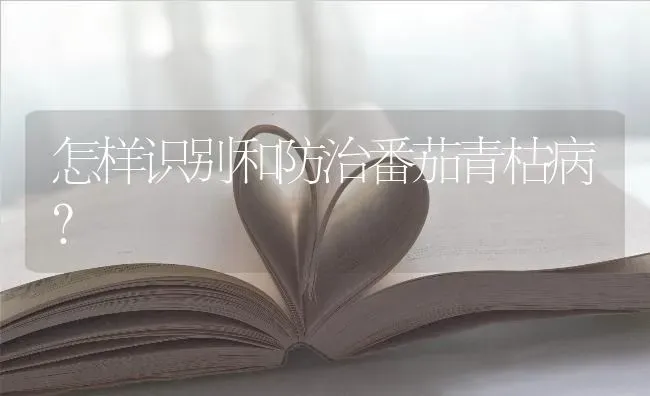 怎样识别和防治番茄青枯病? | 养殖技术大全