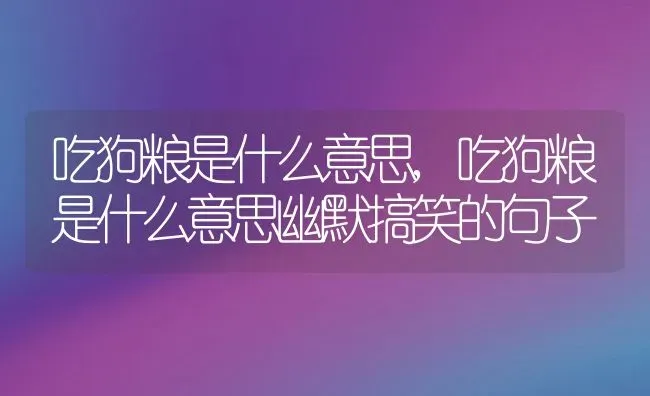 吃狗粮是什么意思,吃狗粮是什么意思幽默搞笑的句子 | 养殖资料