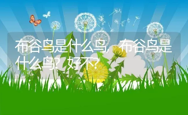 狗能吃栗子吗,狗能吃栗子吗板栗 | 养殖资料