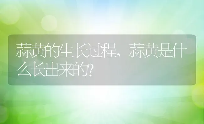 蒜黄的生长过程,蒜黄是什么长出来的？ | 养殖学堂