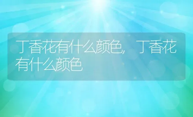 丁香花有什么颜色,丁香花有什么颜色 | 养殖科普