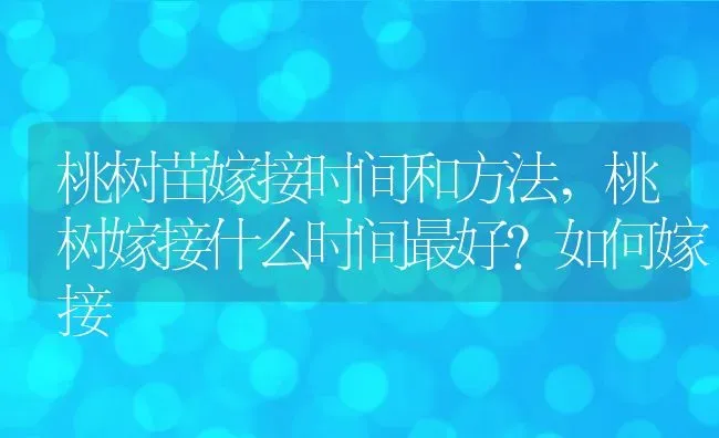 桃树苗嫁接时间和方法,桃树嫁接什么时间最好？如何嫁接 | 养殖学堂