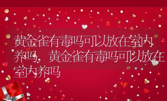 黄金雀有毒吗可以放在室内养吗,黄金雀有毒吗可以放在室内养吗 | 养殖科普